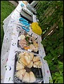 20220605_153750.jpg